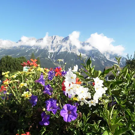 Tilly ゲストハウス Niederöblarn